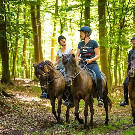 Jagthytten Skjoldemose Vakantiehuis