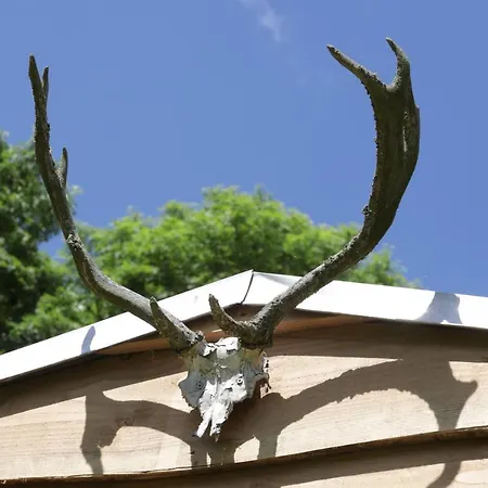 Jagthytten Skjoldemose *