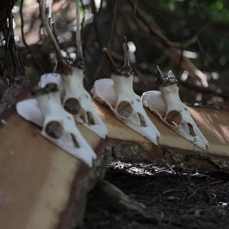 Jagthytten Skjoldemose بيت للعطل Stenstrup