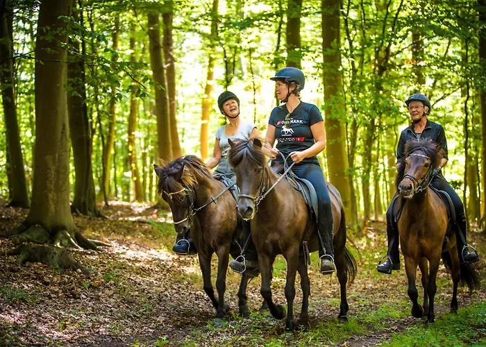 Jagthytten Skjoldemose Feriehus