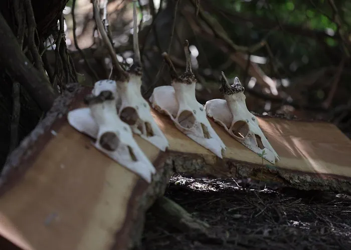 Jagthytten Skjoldemose Feriehus Stenstrup